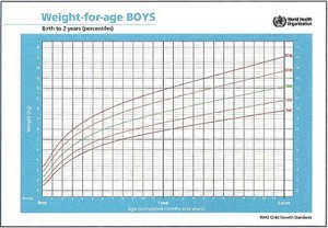 Curba de greutate la baieti pana in 2 ani